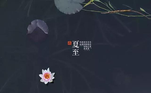 小松鼠壁挂炉